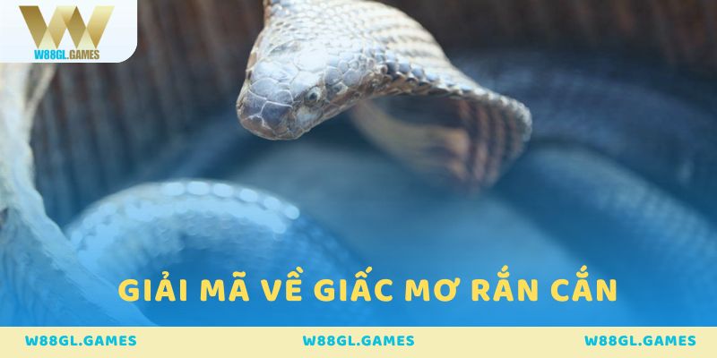 Giải mã ý nghĩa về giấc mơ thấy đang bị rắn cắn