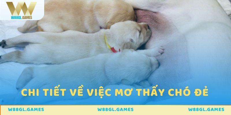 Thông tin chi tiết về việc nằm mơ thấy chó đẻ