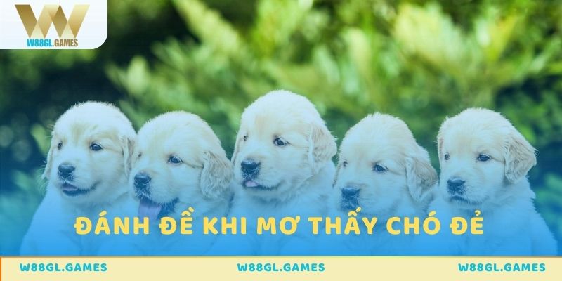 Thông tin về việc đánh đề khi mơ thấy chó đẻ