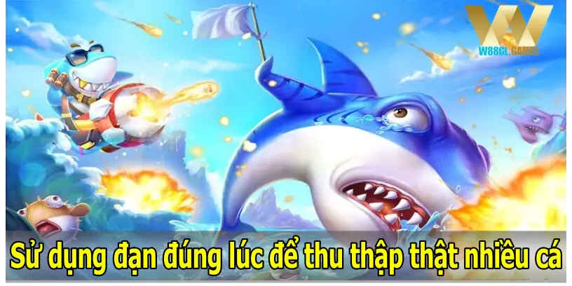 Sử dụng đạn đúng lúc để thu thập thật nhiều cá